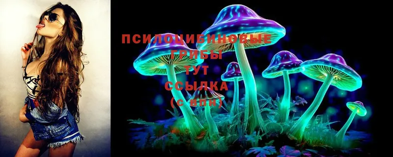 Псилоцибиновые грибы MAGIC MUSHROOMS  Клинцы 